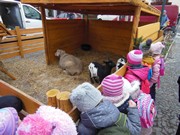 Výlet do Nymburka a návštěva divadla Čert vem anděla